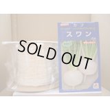 [シーダー種子]　かぶ　スワン　1粒×10cm間隔