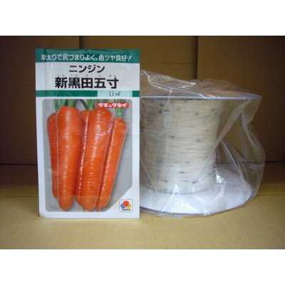 画像1: [シーダー種子]　人参　新黒田五寸　1粒×5cm間隔