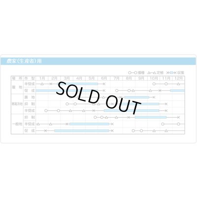 画像6: 送料無料　[トマト/マウロの地中海トマト]　ピッコラカナリア　100粒　サナテックシード（株）