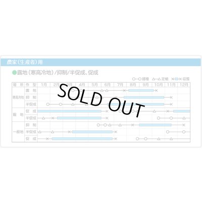 画像8: 送料無料　[トマト/マウロの地中海トマト]　ロッソナポリタン　8粒　サナテックシード（株）