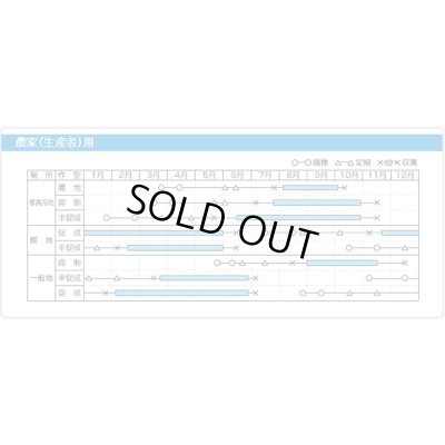 画像6: 送料無料　[トマト/マウロの地中海トマト]　シシリアンルージュCF　100粒　サナテックシード（株）