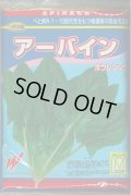 [ほうれんそう]　ほうれんそう　アーバイン　Mサイズ3万粒　渡辺農事(株)