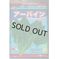 [ほうれんそう]　ほうれんそう  アーバイン　Mサイズ３万粒　渡辺農事（株）