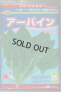 [ほうれんそう]　ほうれんそう  アーバイン　Mサイズ３万粒　渡辺農事（株）