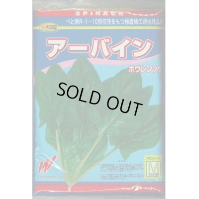 画像1: [ほうれんそう]　ほうれんそう  アーバイン　Mサイズ３万粒　渡辺農事（株）