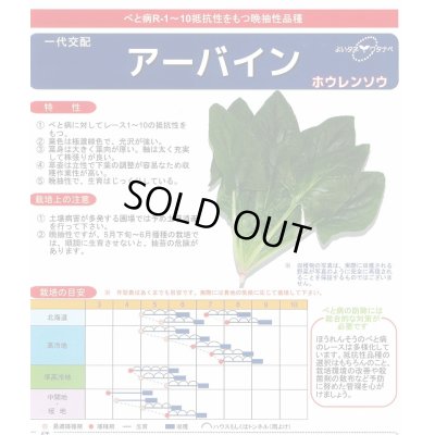 画像3: [ほうれんそう]　ほうれんそう  アーバイン　Mサイズ３万粒　渡辺農事（株）