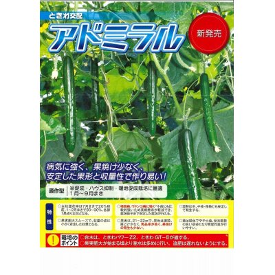 画像2: [キュウリ]　送料無料！アドミラル　350粒　（株）ときわ研究場