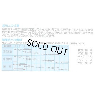 画像2: 送料無料　[葉物]　赤丸サラダ菜　小袋　1.5ml　(株)タカヤマシード