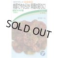 送料無料　[葉物]　赤丸サラダ菜　小袋　1.5ml　(株)タカヤマシード