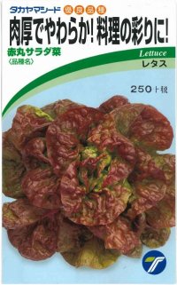 [葉物]　赤丸サラダ菜　小袋　1.5ml    （株）タカヤマシード