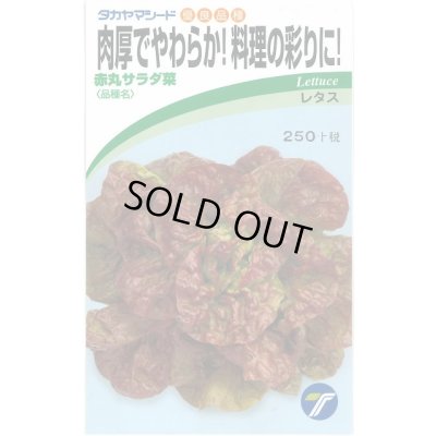 画像1: 送料無料　[葉物]　赤丸サラダ菜　小袋　1.5ml　(株)タカヤマシード