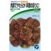 画像1: [葉物]　赤丸サラダ菜　小袋　1.5ml    タカヤマシード (1)