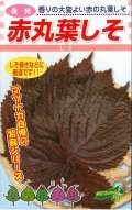 送料無料　[葉物]　赤しそ　赤丸葉しそ　5ml　松永種苗(株)