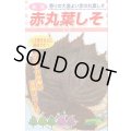 送料無料　[葉物]　赤しそ　赤丸葉しそ　5ml　松永種苗(株)