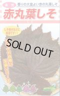 送料無料　[葉物]　赤しそ　赤丸葉しそ　5ml　松永種苗(株)