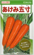 [人参]　あけみ五寸　2dl貴種(コートしてません)　カネコ種苗（株）