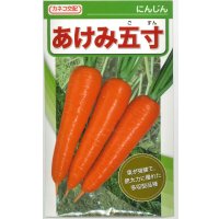 [人参]　あけみ五寸　2dl貴種(コートしてません)　カネコ種苗（株）