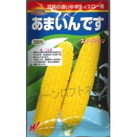 [とうもろこし]　あまいんです　200粒　渡辺農事（株）