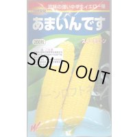 送料無料　[とうもろこし]　あまいんです　200粒　渡辺農事(株)