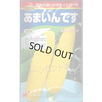 画像1: 送料無料　[とうもろこし]　あまいんです　200粒　渡辺農事(株)