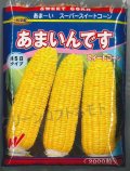 送料無料[とうもろこし]　あまいんです　2000粒　渡辺農事(株)