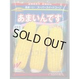送料無料[とうもろこし]　あまいんです　2000粒　渡辺農事(株)