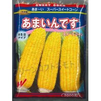 [とうもろこし]　あまいんです　2000粒　渡辺農事（株）