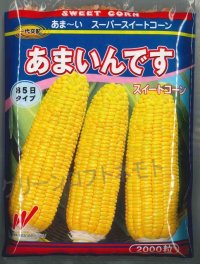 [とうもろこし]　あまいんです　2000粒　渡辺農事（株）