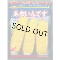 送料無料[とうもろこし]　あまいんです　2000粒　渡辺農事(株)
