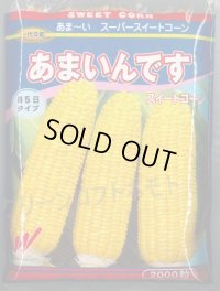 送料無料[とうもろこし]　あまいんです　2000粒　渡辺農事(株)