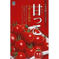 [トマト/ミニトマト]　甘っこ　★500粒　宇治交配