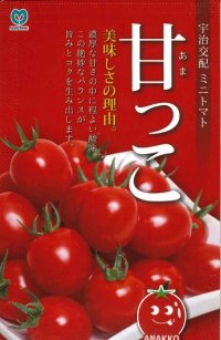 [トマト/ミニトマト]　甘っこ　★500粒　宇治交配