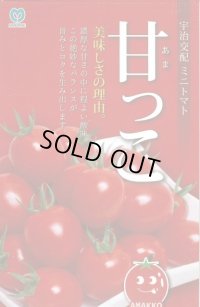 送料無料　[トマト/ミニトマト]　甘っこ　★500粒　 丸種（株）