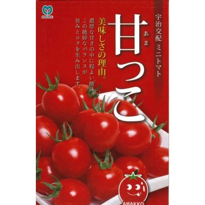 画像1: [トマト/ミニトマト]　甘っこ　20粒　宇治交配