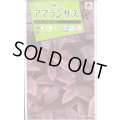 送料無料　花の種　アマランサス　ベルベットカーテン　小袋　タキイ種苗(株)NL200