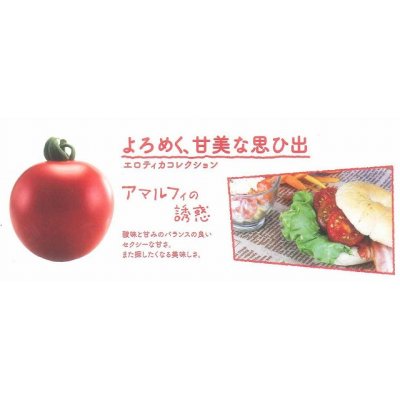 画像2: [トマト/マウロの地中海トマト]　アマルフィの誘惑　8粒
