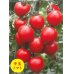 画像1: [トマト/マウロの地中海トマト]　送料無料！　アマルフィの誘惑　1000粒 (1)