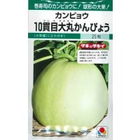 送料無料　[カンピョウ]　10貫目大丸かんぴょう　22粒　タキイ種苗　GF