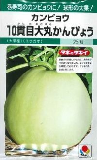 送料無料　[カンピョウ]　10貫目大丸かんぴょう　22粒　タキイ種苗　GF