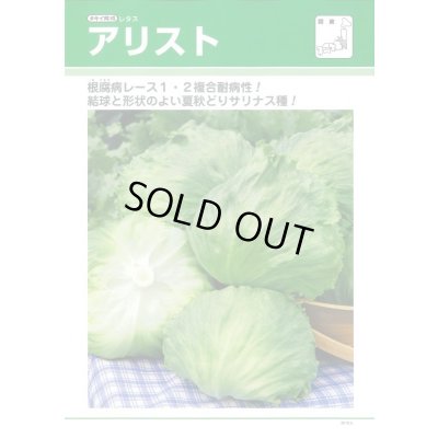 画像2: 送料無料　[レタス]　アリスト　ペレット種子　　5000粒　タキイ種苗(株)