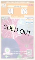 送料無料　花の種　朝顔　浜の混合　約8粒　(株)サカタのタネ　　実咲200（026305）