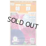 送料無料　花の種　朝顔　浜の混合　約8粒　(株)サカタのタネ　　実咲200（026305）