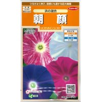 花の種　朝顔　浜の混合　約8粒　サカタのタネ（株）実咲200