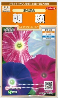 花の種　朝顔　浜の混合　約8粒　サカタのタネ（株）実咲200