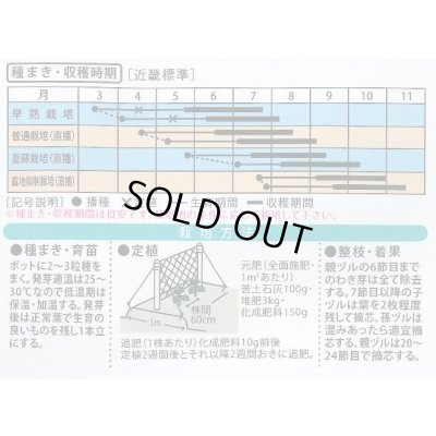 画像2: 送料無料　[キュウリ]　あずま3号　10ml　（株）大和農園