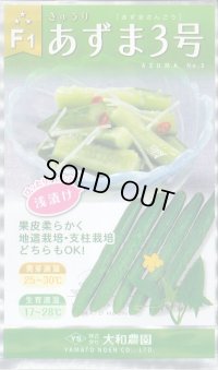 送料無料　[キュウリ]　あずま3号　1ml　（株）大和農園