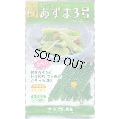 画像1: 送料無料　[キュウリ]　あずま3号　10ml　（株）大和農園