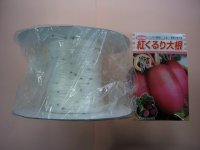 [シーダー種子]　大根　紅くるり　1粒×30cm×100m