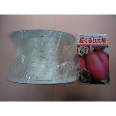 画像1: [シーダー種子]　大根　紅くるり　1粒×30cm×100m