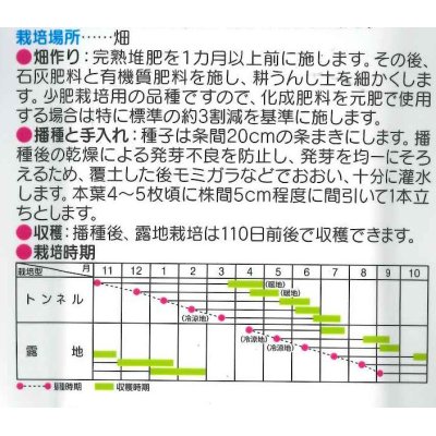 画像3: [人参]　ベーターリッチ　ペレット 約350粒 　サカタのタネ（株）　実咲400